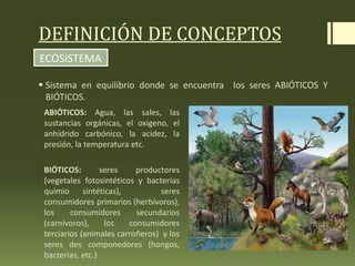 DEFINICIÓN DE CONCEPTOS
 Sistema en equilibrio donde se encuentra los seres ABIÓTICOS Y
BIÓTICOS.
ECOSISTEMA
ABIÓTICOS: Agua, las sales, las
sustancias orgánicas, el oxigeno, el
anhídrido carbónico, la acidez, la
presión, la temperatura etc.
BIÓTICOS: seres productores
(vegetales fotosintéticos y bacterias
quimio sintéticas), seres
consumidores primarios (herbívoros),
los consumidores secundarios
(carnívoros), los consumidores
terciarios (animales carroñeros) y los
seres des componedores (hongos,
bacterias, etc.)
 