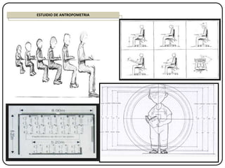 ESTUIDIO DE ANTROPOMETRIA
 