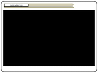 IMAGEN OBJETIVO
 