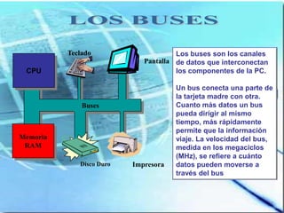 Teclado                     Los buses son los canales
                             Pantalla de datos que interconectan
 CPU                                  los componentes de la PC.

                                      Un bus conecta una parte de
                                      la tarjeta madre con otra.
              Buses                   Cuanto más datos un bus
                                      pueda dirigir al mismo
                                      tiempo, más rápidamente
                                      permite que la información
Memoria                               viaje. La velocidad del bus,
 RAM                                  medida en los megaciclos
                                      (MHz), se refiere a cuánto
             Disco Duro   Impresora   datos pueden moverse a
                                      través del bus
 