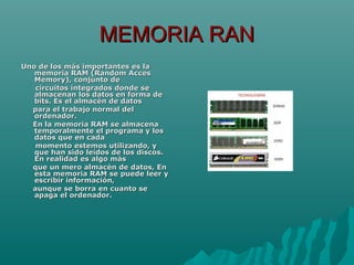 MEMORIA RANMEMORIA RAN
Uno de los más importantes es laUno de los más importantes es la
memoria RAM (Random Accesmemoria RAM (Random Acces
Memory), conjunto deMemory), conjunto de
circuitos integrados donde secircuitos integrados donde se
almacenan los datos en forma dealmacenan los datos en forma de
bits. Es el almacén de datosbits. Es el almacén de datos
para el trabajo normal delpara el trabajo normal del
ordenador.ordenador.
En la memoria RAM se almacenaEn la memoria RAM se almacena
temporalmente el programa y lostemporalmente el programa y los
datos que en cadadatos que en cada
momento estemos utilizando, ymomento estemos utilizando, y
que han sido leídos de los discos.que han sido leídos de los discos.
En realidad es algo másEn realidad es algo más
que un mero almacén de datos, Enque un mero almacén de datos, En
esta memoria RAM se puede leer yesta memoria RAM se puede leer y
escribir información,escribir información,
aunque se borra en cuanto seaunque se borra en cuanto se
apaga el ordenador.apaga el ordenador.
 
