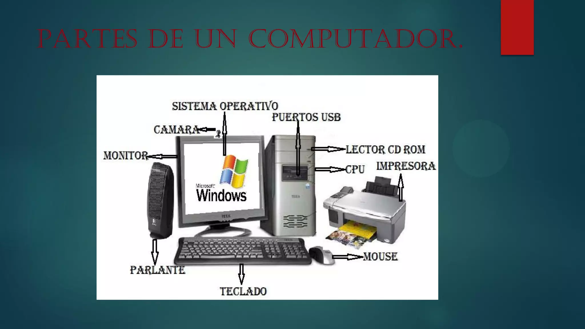 PARTES DE UN COMPUTADOR.