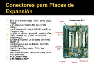Son los denominados “slots” de la placa madre y en ellas se instalan las diferentes placas que incrementan las prestaciones de la computadora (tarjeta de video, de sonido, módem-fax, placa de red, etc.). Son ranuras de plástico que pueden presentar un aspecto diferente según la tecnología en que se basen; además, pueden tener distinto tamaño y color. Entre los diferentes slots o conectores, debemos mencionar los siguientes: PCI:Conectores Conectores AGP 