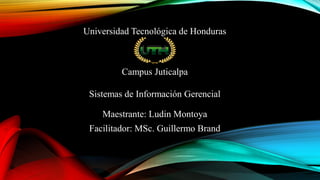 Maestrante: Ludin Montoya
Facilitador: MSc. Guillermo Brand
Sistemas de Información Gerencial
Universidad Tecnológica de Honduras
Campus Juticalpa
 