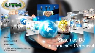 Master:
Guillermo Brand
Maestrante:
Lourdes Kimberly Muñoz Turcios /
202010040116
Sistemas De
Información Gerencial
 
