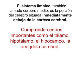 El sistema límbico, también
llamado cerebro medio, es la porción
del cerebro situada inmediatamente
debajo de la corteza cerebral.
Comprende centros
importantes como el tálamo,
hipotálamo, el hipocampo, la
amígdala cerebral.
 