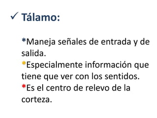  Tálamo:
*Maneja señales de entrada y de
salida.
*Especialmente información que
tiene que ver con los sentidos.
*Es el centro de relevo de la
corteza.
 