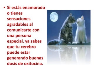 • Si estás enamorado
o tienes
sensaciones
agradables al
comunicarte con
una persona
especial, ya sabes
que tu cerebro
puede estar
generando buenas
dosis de oxitocina.
 