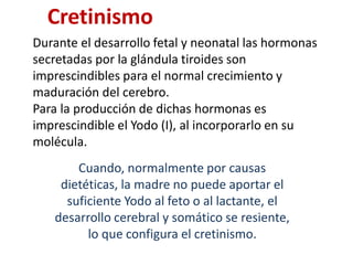 Cretinismo
Durante el desarrollo fetal y neonatal las hormonas
secretadas por la glándula tiroides son
imprescindibles para el normal crecimiento y
maduración del cerebro.
Para la producción de dichas hormonas es
imprescindible el Yodo (I), al incorporarlo en su
molécula.
Cuando, normalmente por causas
dietéticas, la madre no puede aportar el
suficiente Yodo al feto o al lactante, el
desarrollo cerebral y somático se resiente,
lo que configura el cretinismo.
 