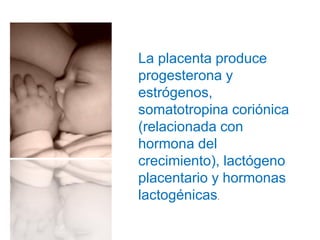 La placenta produce
progesterona y
estrógenos,
somatotropina coriónica
(relacionada con
hormona del
crecimiento), lactógeno
placentario y hormonas
lactogénicas.
 