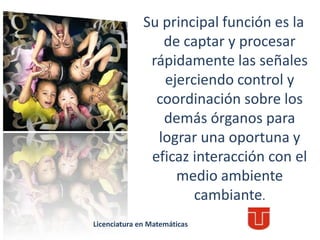 Su principal función es la
de captar y procesar
rápidamente las señales
ejerciendo control y
coordinación sobre los
demás órganos para
lograr una oportuna y
eficaz interacción con el
medio ambiente
cambiante.
Licenciatura en Matemáticas
 