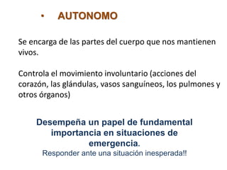 • AUTONOMO
Se encarga de las partes del cuerpo que nos mantienen
vivos.
Controla el movimiento involuntario (acciones del
corazón, las glándulas, vasos sanguíneos, los pulmones y
otros órganos)
Desempeña un papel de fundamental
importancia en situaciones de
emergencia.
Responder ante una situación inesperada!!
 