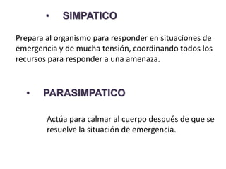 • SIMPATICO
Prepara al organismo para responder en situaciones de
emergencia y de mucha tensión, coordinando todos los
recursos para responder a una amenaza.
• PARASIMPATICO
Actúa para calmar al cuerpo después de que se
resuelve la situación de emergencia.
 
