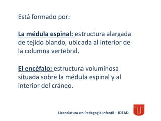 Está formado por:
La médula espinal: estructura alargada
de tejido blando, ubicada al interior de
la columna vertebral.
El encéfalo: estructura voluminosa
situada sobre la médula espinal y al
interior del cráneo.
Licenciatura en Pedagogía Infantil – IDEAD.
 