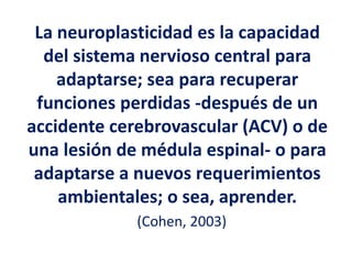 La neuroplasticidad es la capacidad
del sistema nervioso central para
adaptarse; sea para recuperar
funciones perdidas -después de un
accidente cerebrovascular (ACV) o de
una lesión de médula espinal- o para
adaptarse a nuevos requerimientos
ambientales; o sea, aprender.
(Cohen, 2003)
 