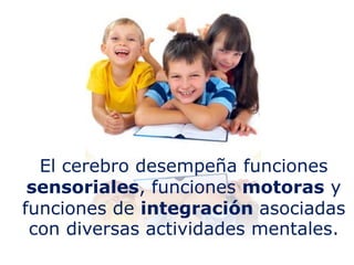 El cerebro desempeña funciones
sensoriales, funciones motoras y
funciones de integración asociadas
con diversas actividades mentales.
 