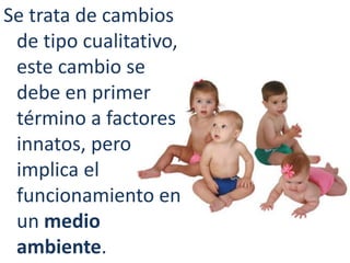 Se trata de cambios
de tipo cualitativo,
este cambio se
debe en primer
término a factores
innatos, pero
implica el
funcionamiento en
un medio
ambiente.
 