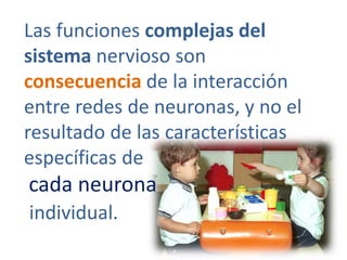 Las funciones complejas del
sistema nervioso son
consecuencia de la interacción
entre redes de neuronas, y no el
resultado de las características
específicas de
cada neurona
individual.
 