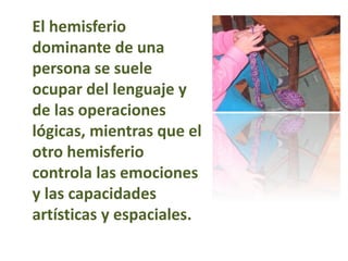El hemisferio
dominante de una
persona se suele
ocupar del lenguaje y
de las operaciones
lógicas, mientras que el
otro hemisferio
controla las emociones
y las capacidades
artísticas y espaciales.
 
