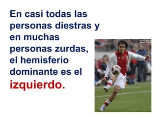 En casi todas las
personas diestras y
en muchas
personas zurdas,
el hemisferio
dominante es el
izquierdo.
 