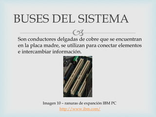 Son conductores delgadas de cobre que se encuentran
en la placa madre, se utilizan para conectar elementos
e intercambiar información.
BUSES DEL SISTEMA
Imagen 10 – ranuras de expanción IBM PC
http://www.ibm.com/
 