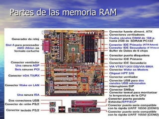 Partes de las memoria RAM 
