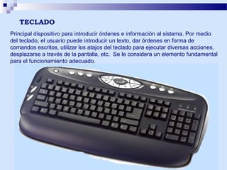 TECLADO
Principal dispositivo para introducir órdenes e información al sistema. Por medio
del teclado, el usuario puede introducir un texto, dar órdenes en forma de
comandos escritos, utilizar los atajos del teclado para ejecutar diversas acciones,
desplazarse a través de la pantalla, etc. Se le considera un elemento fundamental
para el funcionamiento adecuado.

 