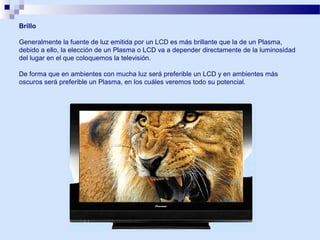 Brillo
Generalmente la fuente de luz emitida por un LCD es más brillante que la de un Plasma,
debido a ello, la elección de un Plasma o LCD va a depender directamente de la luminosidad
del lugar en el que coloquemos la televisión.
De forma que en ambientes con mucha luz será preferible un LCD y en ambientes más
oscuros será preferible un Plasma, en los cuáles veremos todo su potencial.

 