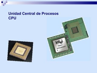 Unidad Central de Procesos
CPU

 