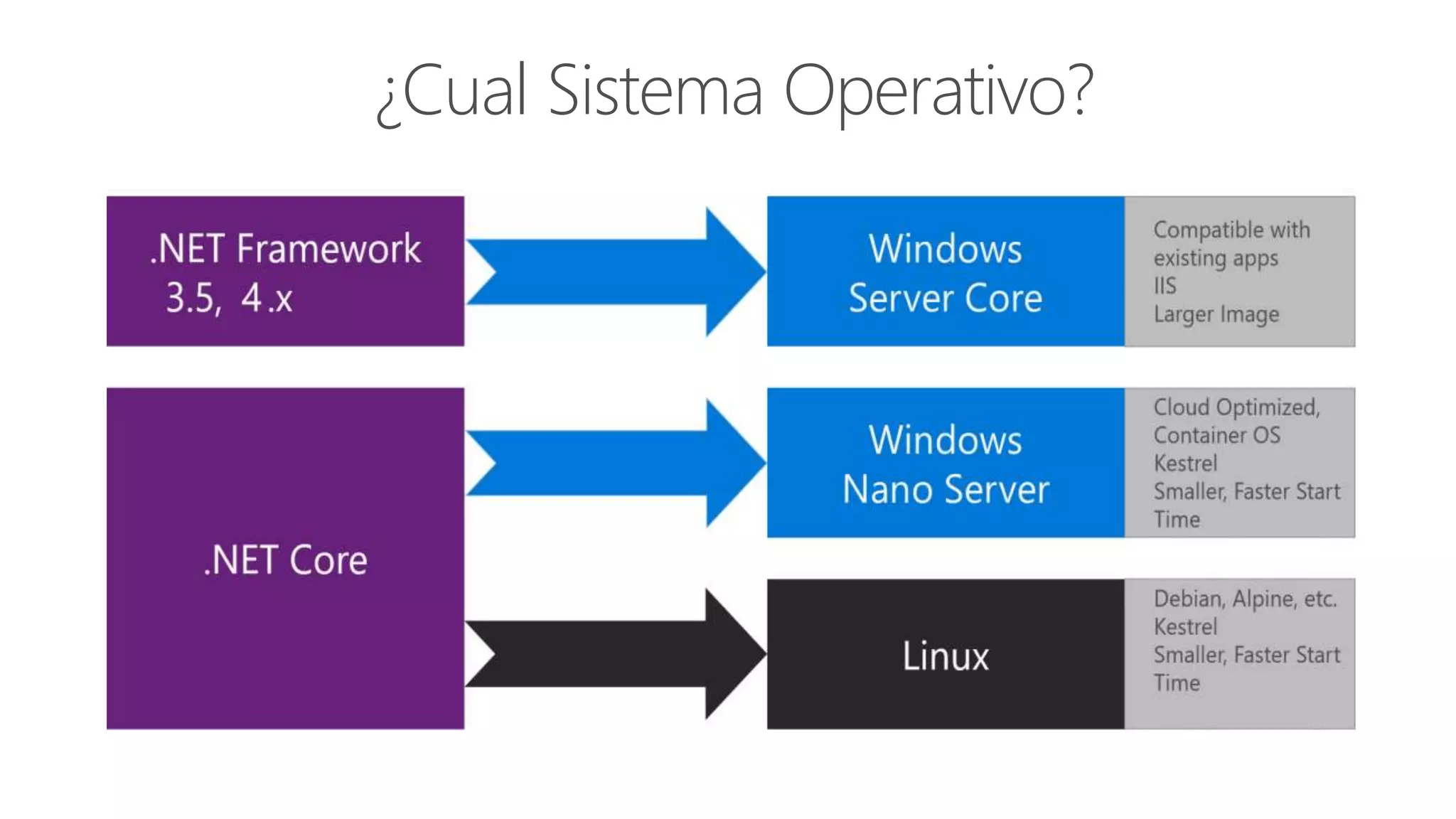 ¿Cual Sistema Operativo?
 