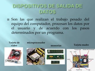    Son las que realizan el trabajo pesado del
    equipo del computador, procesan los datos por
    el usuario y de acuerdo con los pasos
    determinados por un programa.

Tarjeta de   microprocesador
  video                        memorias   Tarjeta madre
 
