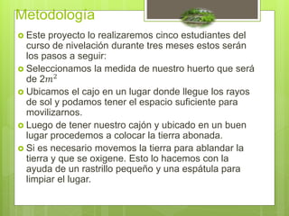 Metodología
 Este proyecto lo realizaremos cinco estudiantes del
curso de nivelación durante tres meses estos serán
los pasos a seguir:
 Seleccionamos la medida de nuestro huerto que será
de 2𝑚2
 Ubicamos el cajo en un lugar donde llegue los rayos
de sol y podamos tener el espacio suficiente para
movilizarnos.
 Luego de tener nuestro cajón y ubicado en un buen
lugar procedemos a colocar la tierra abonada.
 Si es necesario movemos la tierra para ablandar la
tierra y que se oxigene. Esto lo hacemos con la
ayuda de un rastrillo pequeño y una espátula para
limpiar el lugar.
 