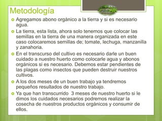 Metodología
 Agregamos abono orgánico a la tierra y si es necesario
agua.
 La tierra, esta lista, ahora solo tenemos que colocar las
semillas en la tierra de una manera organizada en este
caso colocaremos semillas de; tomate, lechuga, manzanilla
y zanahoria.
 En el transcurso del cultivo es necesario darle un buen
cuidado a nuestro huerto como colocarle agua y abonos
orgánicos si es necesario. Debemos estar pendientes de
las plagas como insectos que pueden destruir nuestros
cultivos.
 A los dos meses de un buen trabajo ya tendremos
pequeños resultados de nuestro trabajo.
 Ya que han transcurrido 3 meses de nuestro huerto si le
dimos los cuidados necesarios podremos realizar la
cosecha de nuestros productos orgánicos y consumir de
ellos.
 