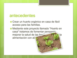 antecedentes
 Crear un huerto orgánico en casa de fácil
acceso para las familias.
 Mediante este proyecto llamado "Huerto en
casa" tratamos de fomentar pensando
mejorar la salud de las familias mediante la
alimentación con alimentos orgánicos.
 