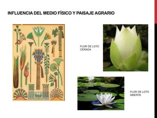 INFLUENCIA DEL MEDIO FÍSICO Y PAISAJE AGRARIO
 