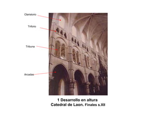 1 Desarrollo en altura 
Catedral de Laon. Finales s.XIIArcadas 
Tribuna 
Triforio 
Claristorio  
