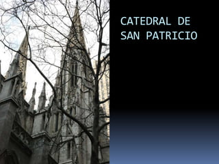 CATEDRAL DE
SAN PATRICIO
 