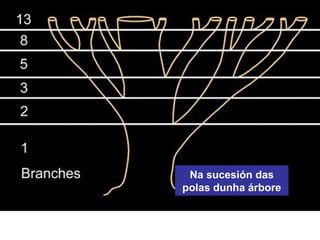 Na sucesión das
polas dunha árbore
 