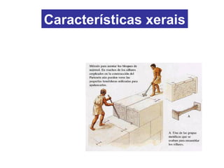 Características xerais
O material utilizado foi a pedra en forma de perpiaños
(sillares), unidos sen argamasa, pero trabados entre si
Mediante grapas metálicas.
 