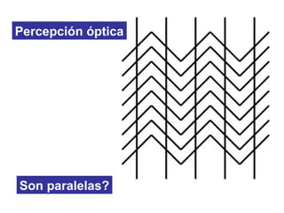Son paralelas?
Percepción óptica
 