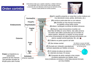 Orden corintio
Estilobato
(chanzo superior)
Columna
Basa
(B)
Fuste
(F)
Capitel
(C)
(F) Surcado por vintecatro acanaladuras
verticais separadas por listeles convexos
(F) O módulo de altura da columna
é o diámetro da base (10 veces)
(F) Sen éntase central
(F) Collarino en parte superior de fuste
(C) Equino: corpo troncocónico invertido con
dúas filas de follas en zona inferior, das cales arranca
nos lados catro tallos (caulículos) que se enrolan na
parte superior, deixando un espazo na zona central
para unha ornamentación de tallos menores enfrontados con
adorno vexetal central (palmeta, flor, etc.)
(B) Composto de plinto cadrado e tres corpos
circulares separados por listeles: dous
toros (molduras convexas) e unha falsa escocia formada
por dous listeles.
(C) ábaco: rectángulo curvilíneo de lados cóncavos
Entaboamento Arquitrabe(Ar)
Friso(Fr)
Cornisa(Co)
Unha lenda sinala que o capitel o deseñou o orfebre Calímaco
ao contemplar cómo nunha tumba onde a familia puxera
o costureiro da xove falecida cunha lousa de mármore enriba
creceran varias plantas de cardos (acanto).
Krepis ou krepidoma ou
estereobato
gradería de tres chanzos
que permiten acceder ao
templo polos catro frontes
(Co) En saediño presenta un corpo liso e unha moldura con
rica decoración (ovas, perlas, dentículos, etc.)
(Fr) continuo pode estar liso ou con relevos
(Ar) Dividido en tres franxas horizontais
en saediño unhas sobre outras
Ao deixar un pouco de listel
curvo entre as estrías, suaviza
as formas duras
 