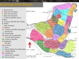 Subregiones Maya
1. Soconusco
2. Altos de Chiapas
3. Alto Usumacinta
4. Bajo Usumacinta
5. Cuenca del Río de la
Pasión
6. Cuenca del Río San Pedro
8. Petén
9. Alta Verapaz
10. Belice
11. Cuenca del Río Motagua
12. Honduras
13. El Salvador
14. Altos de Guatemala
15. Costas del Pacífico
16. Cuenca del Rio
Candelaria
17. Rio Bec
18. Chenes
19. Puuc
20. Tierras Bajas Occidentales
21. Caribe Norte
22. Caribe Sur
23. Norte de Yucatán
24. Zona Insular

|

 