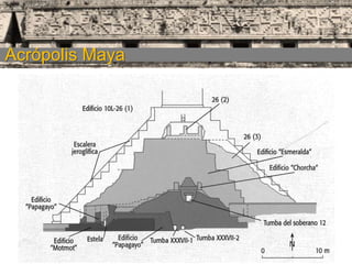 Acrópolis Maya

 