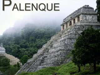 PALENQUE

 