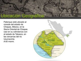 Ubicación Geográfica:
Palenque está ubicado al
noreste del estado de
Chiapas, México, en la
Sierra Oriental de Chiapas
casi en su colindancia con
el estado de Tabasco, en
las cercanías del rio
Usumacinta.
A 60 msnm.

 