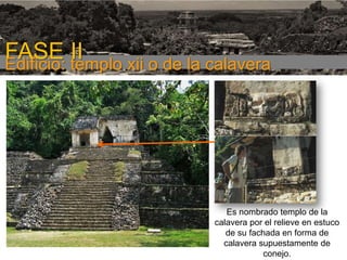 FASE I

FASE templo xii o de la calavera
II
Edificio:

Es nombrado templo de la
calavera por el relieve en estuco
de su fachada en forma de
calavera supuestamente de
conejo.

 