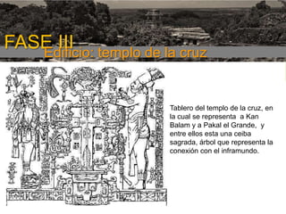 FASE III templo de la cruz
Edificio:
1era etapa

Tablero del templo de la cruz, en
la cual se representa a Kan
Balam y a Pakal el Grande, y
entre ellos esta una ceiba
sagrada, árbol que representa la
conexión con el inframundo.

 