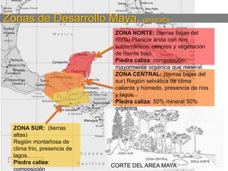 Zonas de Desarrollo Maya, geografía
ZONA NORTE: (tierras bajas del
norte) Planicie árida con ríos
subterráneos, cenotes y vegetación
de monte bajo.
Piedra caliza: composición
mayormente orgánica que mineral.
ZONA CENTRAL: (tierras bajas del
sur) Región selvática de clima
caliente y húmedo, presencia de ríos
y lagos.
Piedra caliza: 50% mineral 50%
orgánica.

ZONA SUR: (tierras
altas)
Región montañosa de
clima frio, presencia de
lagos.
Piedra caliza:
composición

CORTE DEL AREA MAYA

 