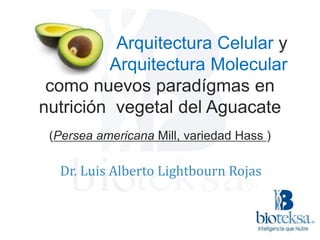 Arquitectura Celular y
Arquitectura Molecular
como nuevos paradígmas en
nutrición vegetal del Aguacate
(Persea americana Mill, variedad Hass )
Dr. Luis Alberto Lightbourn Rojas
 