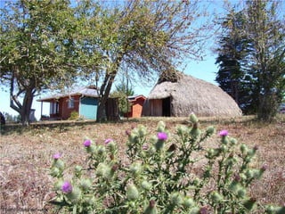 Fuente; foto del autor
 